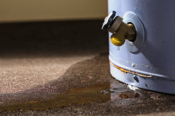 Best Flood damage cleanup  in Belton, MO