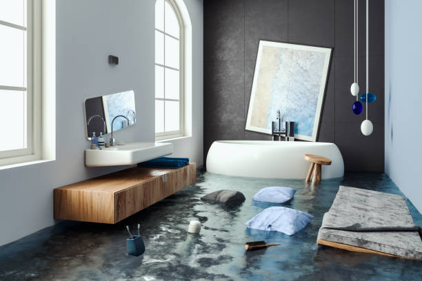 Best Carpet water damage restoration  in Belton, MO