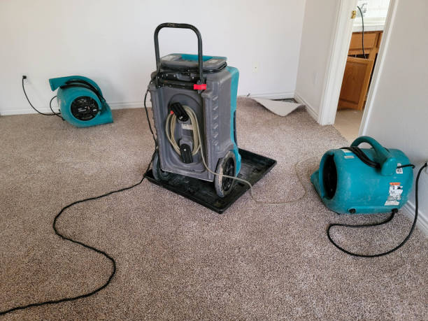  Belton, MO Water damage restoration Pros