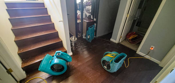 Best Water damage restoration experts  in Belton, MO