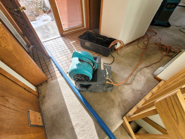 Best Water damage cleanup near me  in Belton, MO