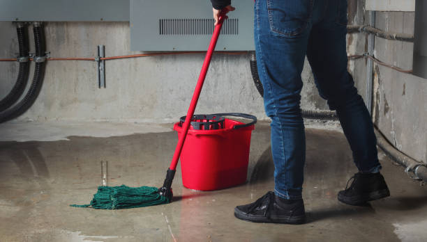 Best Water damage repair service  in Belton, MO
