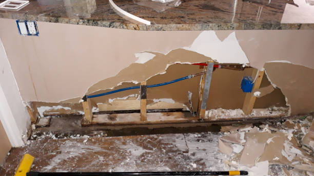 Best Flooded house restoration  in Belton, MO