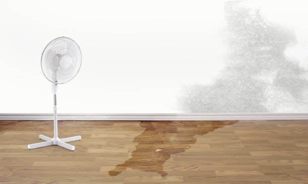 Best Emergency water damage restoration  in Belton, MO