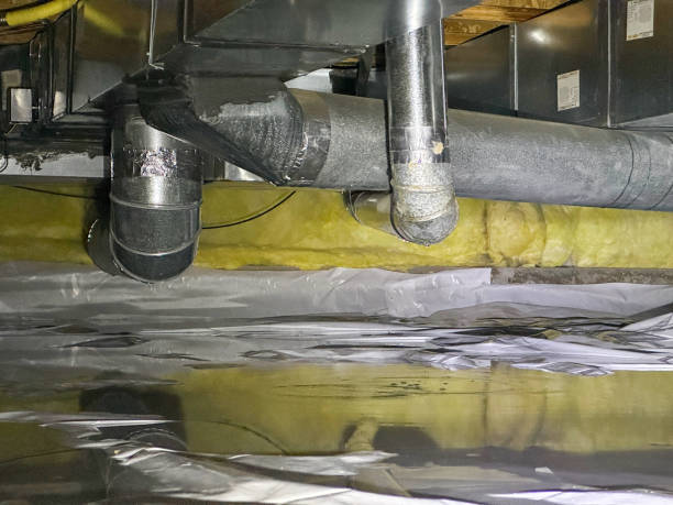 Best Flood restoration services  in Belton, MO