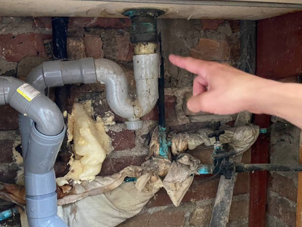 Best Water damage contractors near me  in Belton, MO