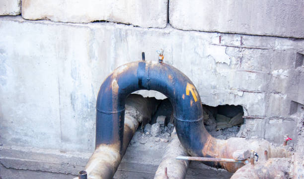 Best 24/7 water damage repair  in Belton, MO